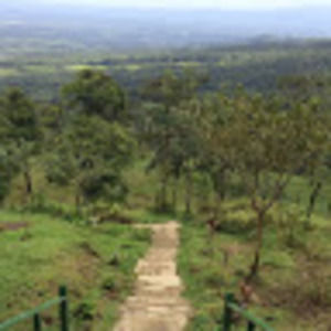 Meet your Posher, Madelyn